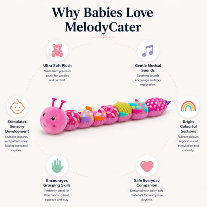 Musical Sensory Caterpillar Toy